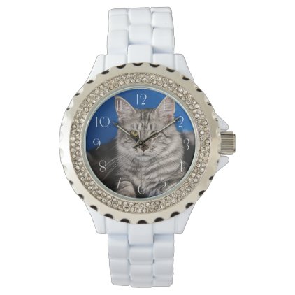 Maine-coon-cats Wristwatch