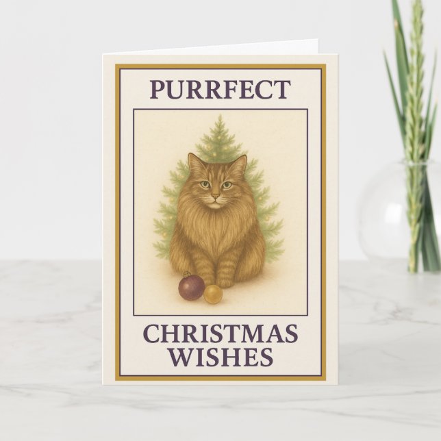Maine Coon Christmas Card – “Boston” Purrfect Cat (Front)