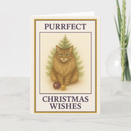 Maine Coon Christmas Card – “Boston” Purrfect Cat