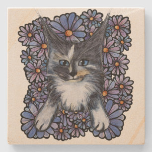 Maine Coon Dilute Calico Cat Purple Daisy          Stone Coaster