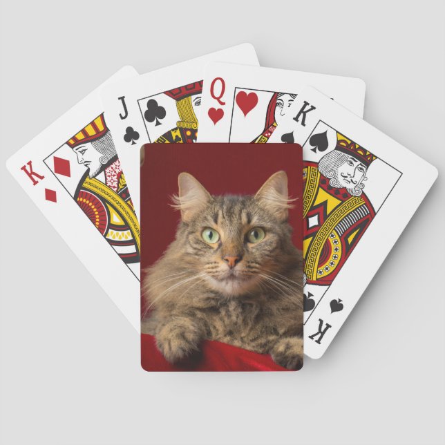 Maine Coon for Christmas with collector Poker Cards (Back)