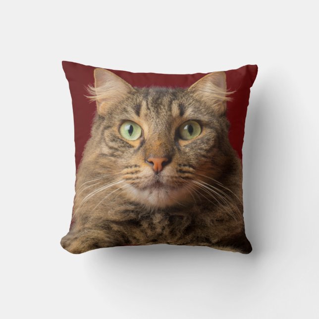 Maine Coon for Christmas with collector Throw Pillow (Front)