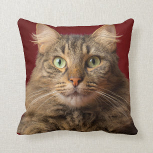 Maine Coon for Christmas with collector Throw Pillow