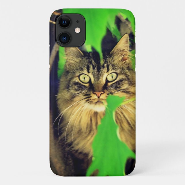 Maine Coon in Tree Case-Mate iPhone Case (Back)