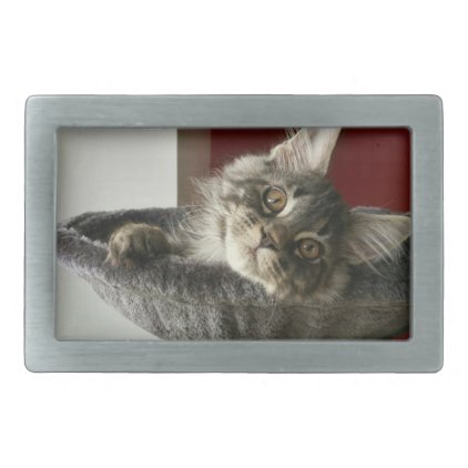 Maine Coon Kitten Belt Buckle