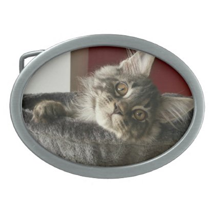 Maine Coon Kitten Belt Buckle