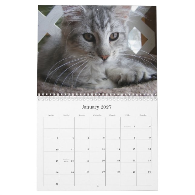 Maine Coon Kitten Calendar (Jan 2027)