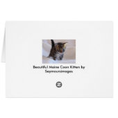 Maine Coon Kitten card (Back Horizontal)