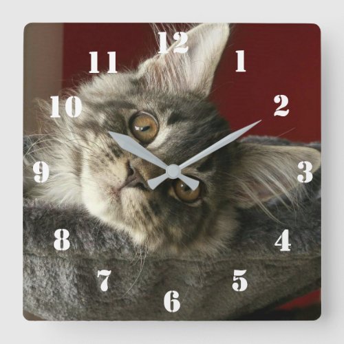 Maine Coon Kitten Clock