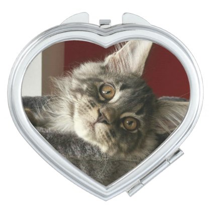 Maine Coon Kitten Compact Mirror