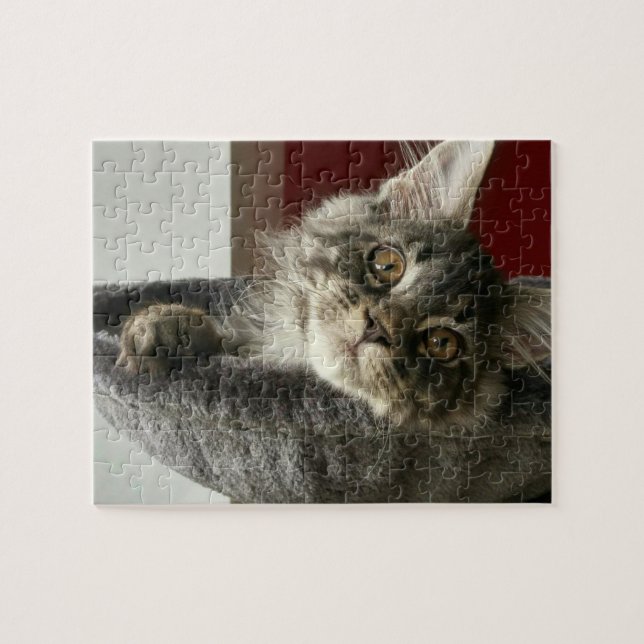 Maine Coon Kitten Jigsaw Puzzle (Horizontal)