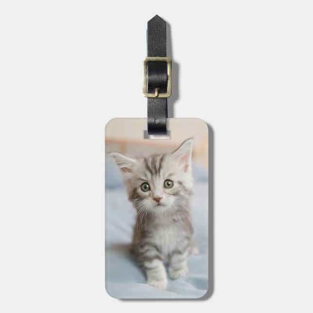 Maine Coon Kitten Luggage Tag (Front Vertical)