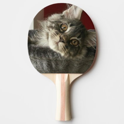 Maine Coon Kitten Ping Pong Paddle