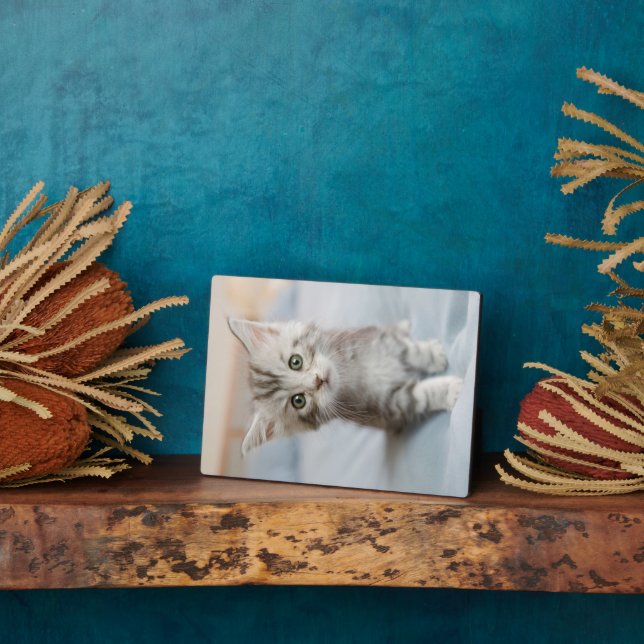 Maine Coon Kitten Plaque (Side)