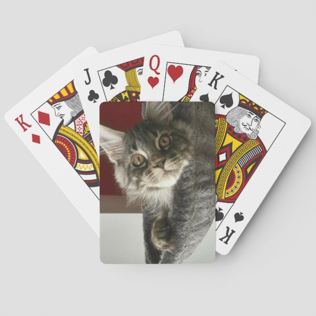Maine Coon Kitten Playing Cards (Back)