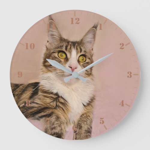 Maine Coon kitten portrait Large Clock