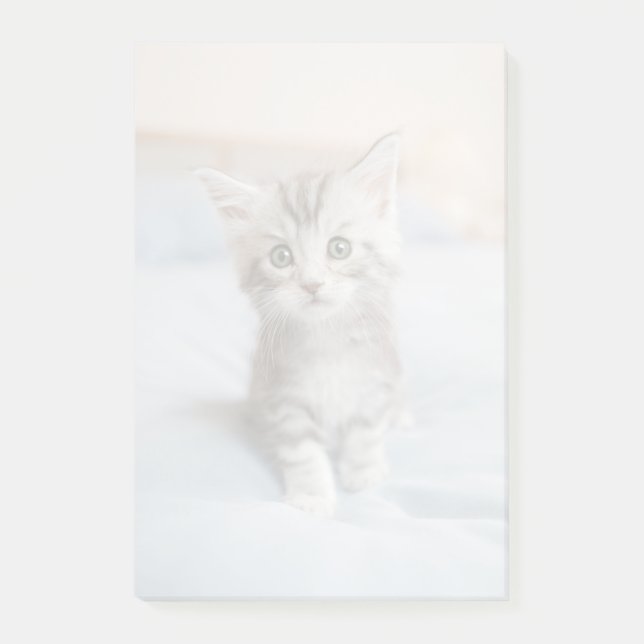 Maine Coon Kitten Post-it Notes (Front)