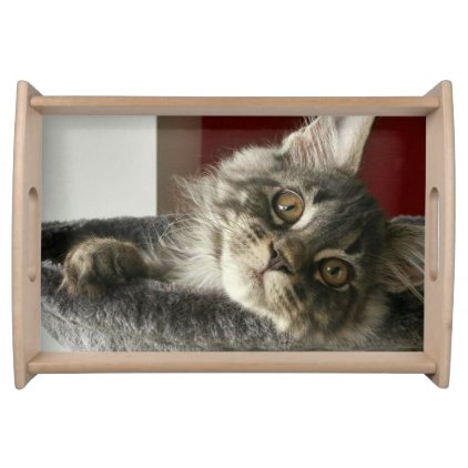 Maine Coon Kitten Serving Tray