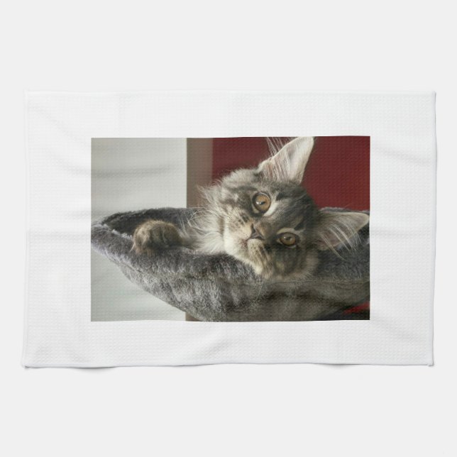 Maine Coon Kitten Tea Towel (Horizontal)