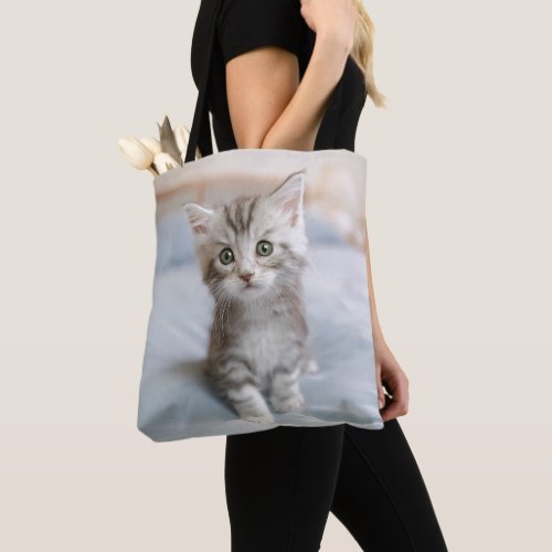 Maine Coon Kitten Tote Bag