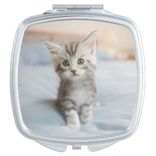 Maine Coon Kitten Vanity Mirror