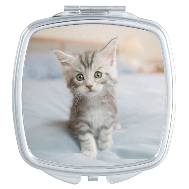 Maine Coon Kitten Vanity Mirror (Front)