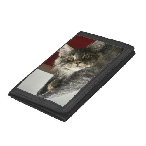 Maine Coon Kitten Wallet