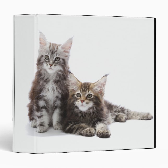 Maine Coon Kittens Binder (Front/Spine)
