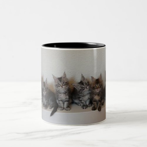 Maine Coon kittens Mug