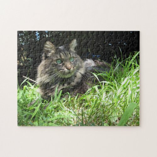 Maine Coon  Kitty Cat Cute Fun Animal Jigsaw Puzzle