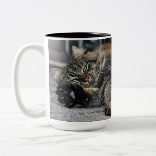 Maine Coon  Kitty Cat Two_Tone Coffee Mug