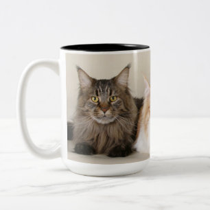 Maine Coon Kitty Cat Two-Tone Coffee Mug