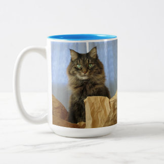 Maine Coon Kitty Cat Two-Tone Coffee Mug