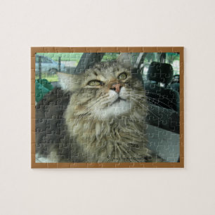 Maine Coon kitty Jigsaw Puzzle