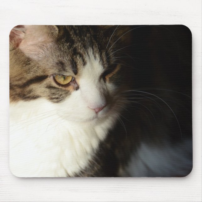 Maine Coon Kitty Mousepad (Front)