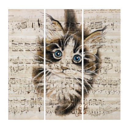 Maine Coon Kitty music Triptych