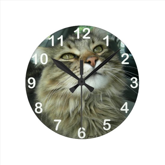 Maine Coon kitty Round Clock