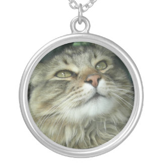 Maine Coon kitty Silver Plated Necklace