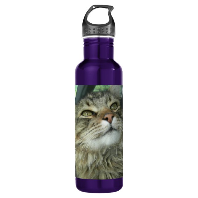 Maine Coon kitty Stainless Steel Water Bottle (Front)