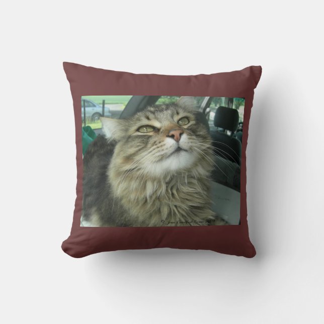 Maine Coon kitty Throw Pillow (Front)