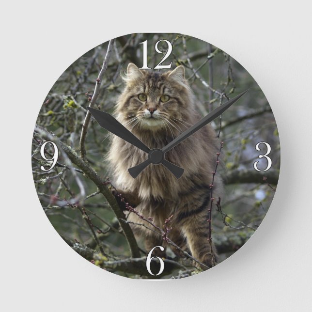 Maine Coon Long-hair Tabby Cat Animal Pet Clock (Front)
