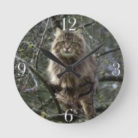 Maine Coon Long-hair Tabby Cat Animal Pet Clock