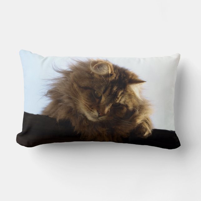 Maine Coon Long-hair Tabby Cat Animal Pet Lumbar Pillow (Front)