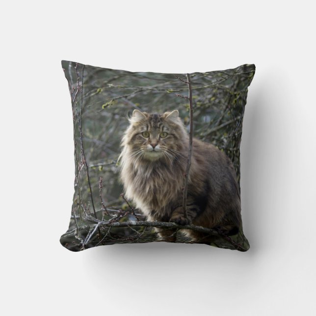 Maine Coon Long-hair Tabby Cat Animal Pet Throw Pillow (Front)