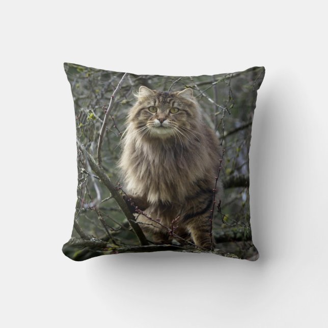 Maine Coon Long-hair Tabby Cat Animal Pet Throw Pillow (Front)