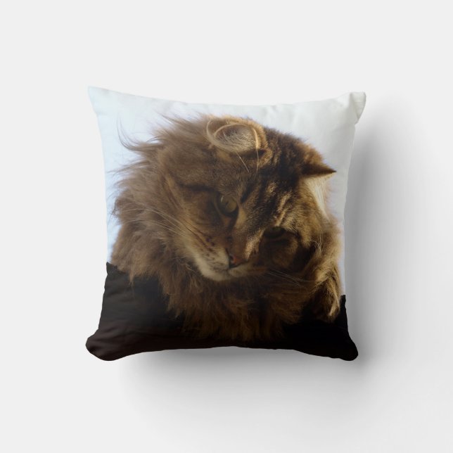 Maine Coon Long-hair Tabby Cat Throw Pillow (Front)