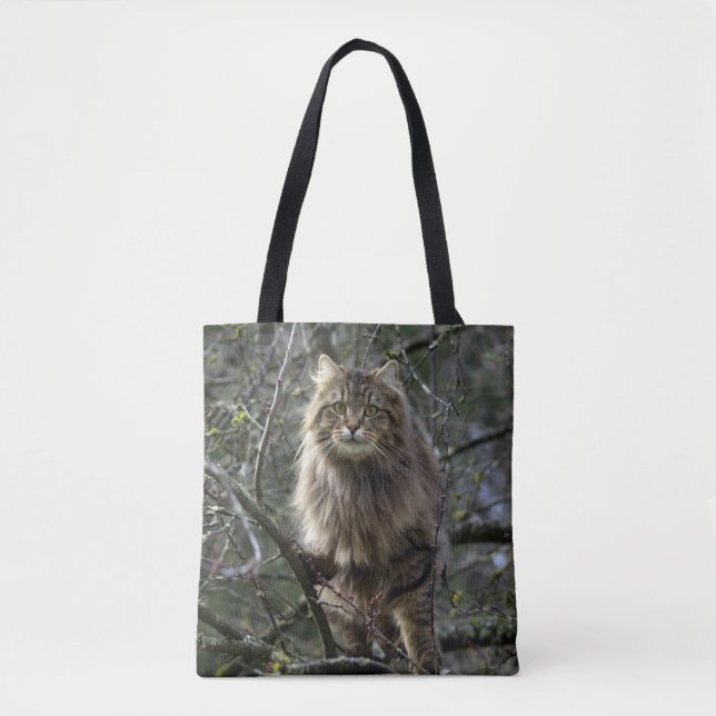 Maine Coon Long-hair Tabby Cat Tote Bag (Front)