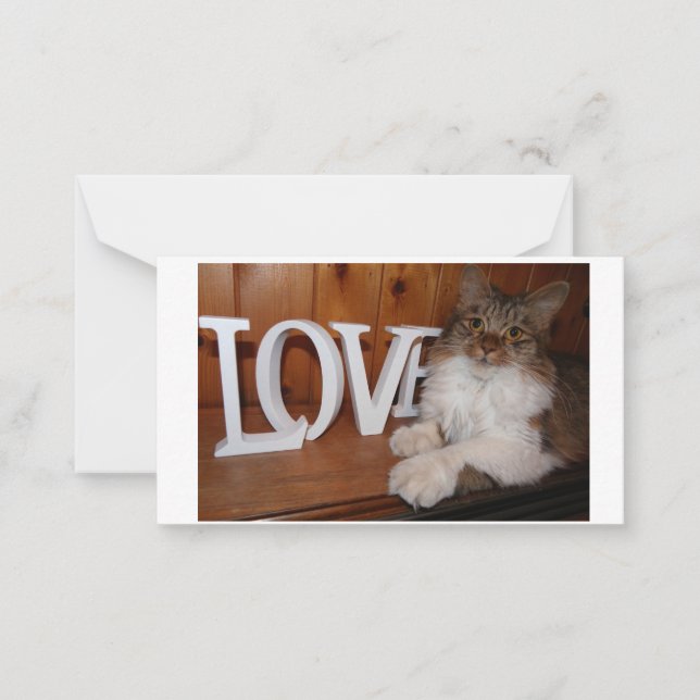 Maine coon love cat 3.5 x 2 note card (Front)