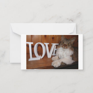 Maine coon love cat 3.5 x 2 note card