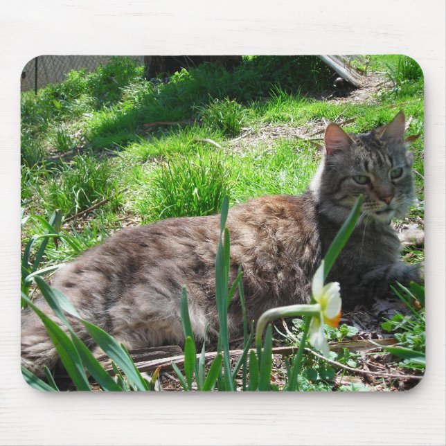 Maine Coon Mouse Pad (Front)